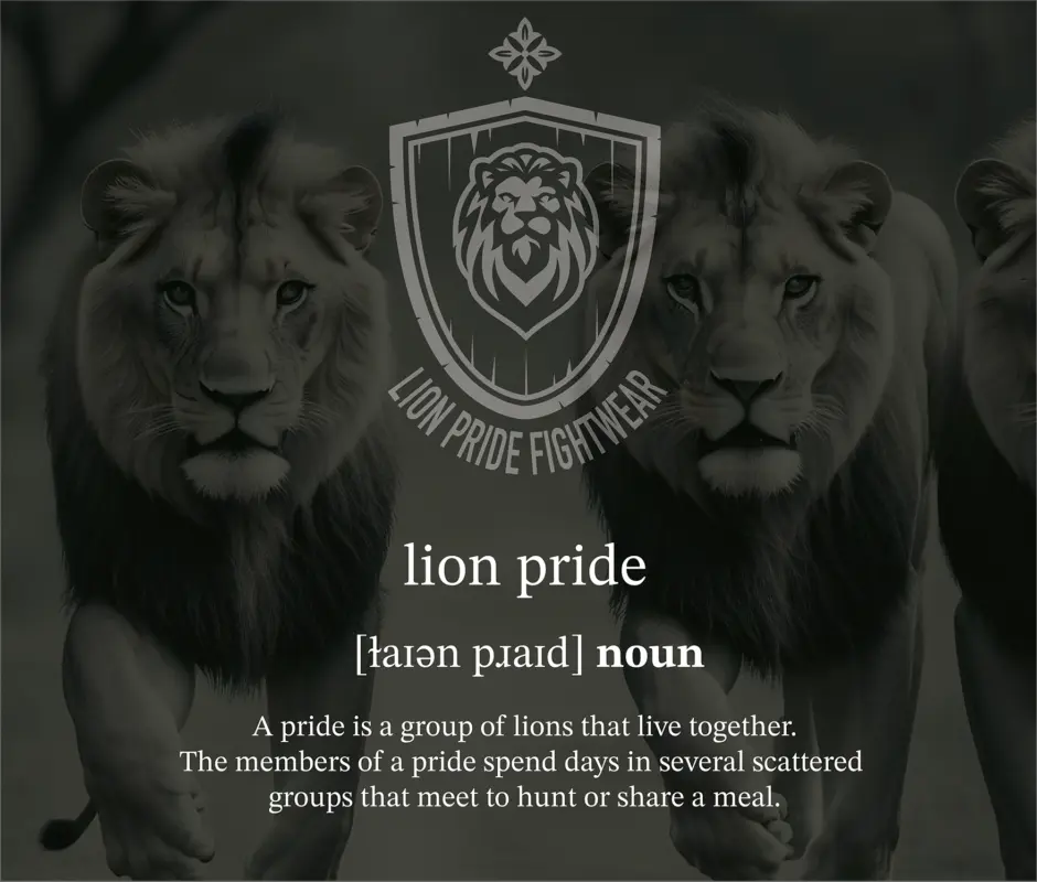 Lion Pride Banner